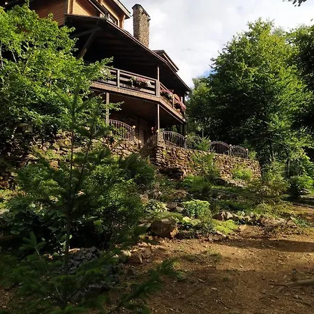 Bird Valley Hotel *