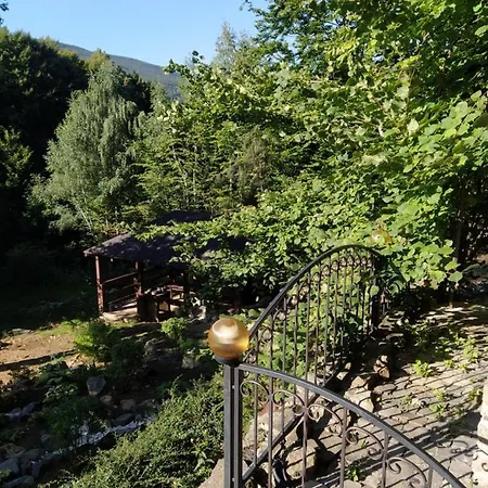 Bird Valley Sinyak (Transcarpathia)