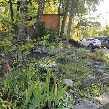 Bird Valley * Sinyak (Transcarpathia)