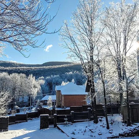 Hotel Bird Valley Sinyak (Transcarpathia)
