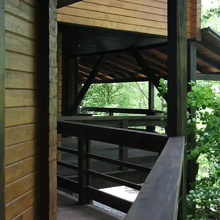 Bird Valley Sinyak (Transcarpathia)