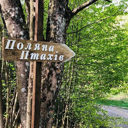 Bird Valley * Sinyak (Transcarpathia)