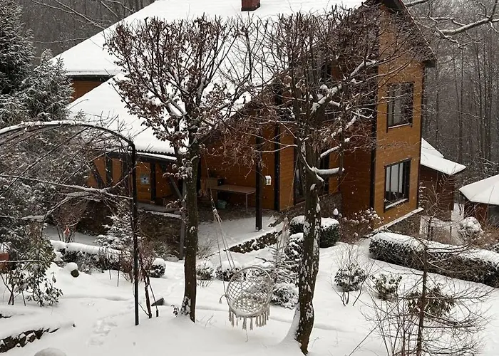 Bird Valley Hotel *