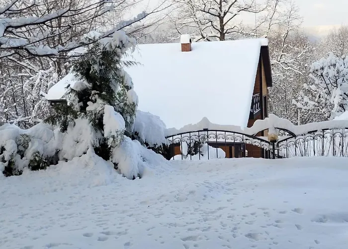 Hotel Bird Valley *
