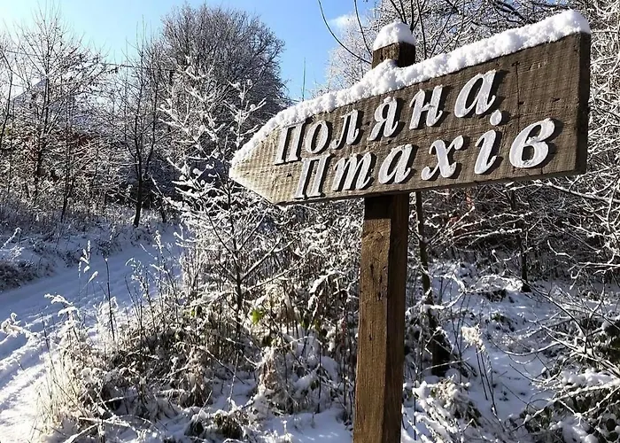 Bird Valley Synyak