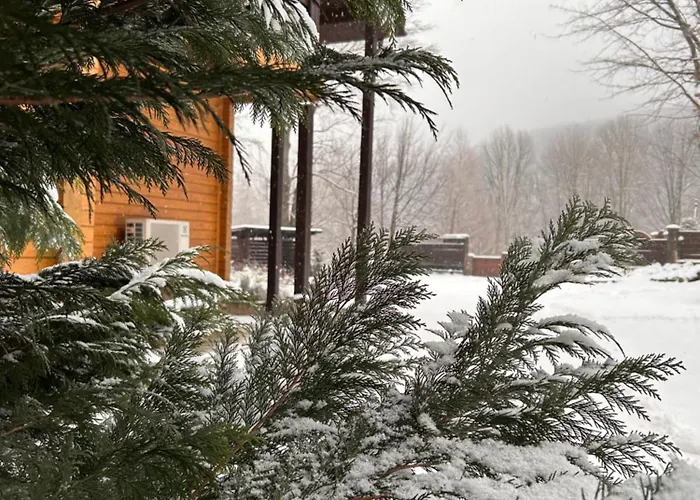 Bird Valley Hotel *