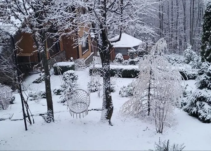 Bird Valley Sinyak (Transcarpathia)