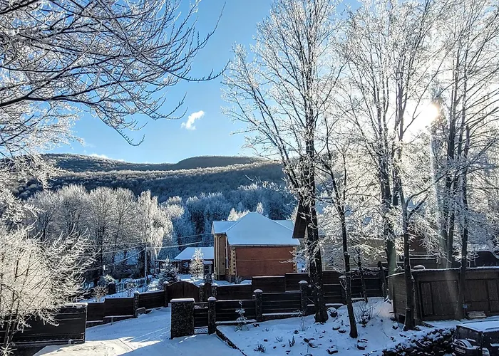 Hotel Bird Valley Sinyak (Transcarpathia)