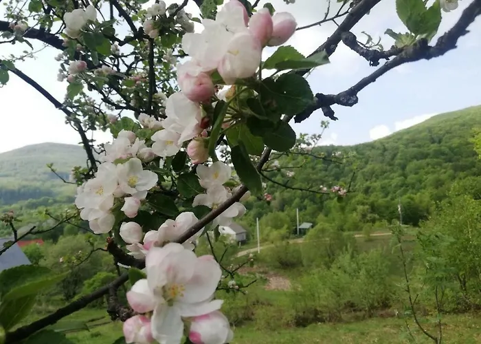 Bird Valley