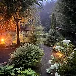 Hotel Bird Valley