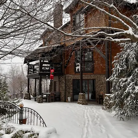 Bird Valley Hotel